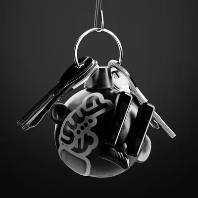 Wen Stealth Keychain