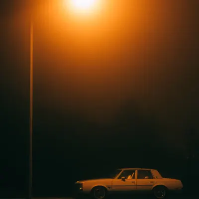 nightcrawler