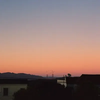sunset soaring
