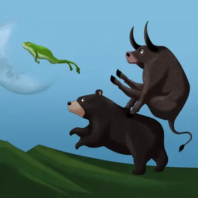 Crossing The Bear