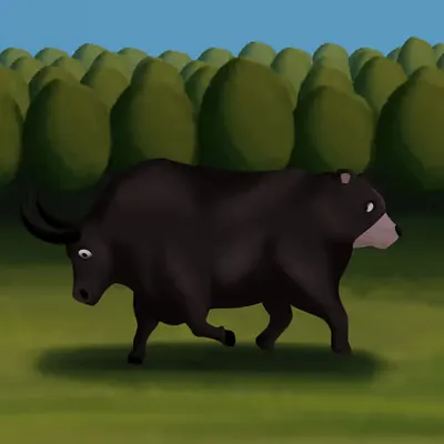 Bull n Bear