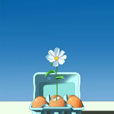 Sunny Side Bloom