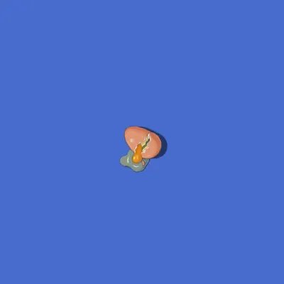 Egg