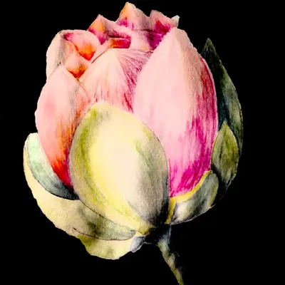 Gentle Flower