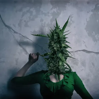 Mary Jane