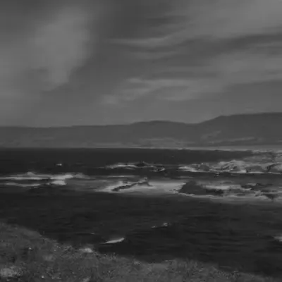 The Coast