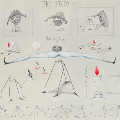 The Study of Head legged