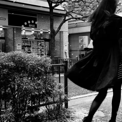 Mono No Aware (Pathos): Contemplating the Fleeting Beauty...
