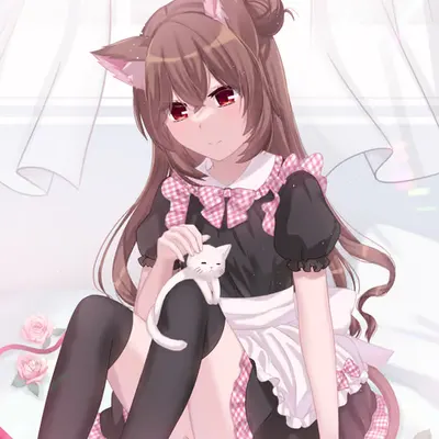 Cat Maid 🌸🐱
