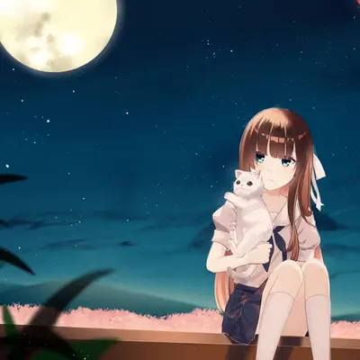 Stargazing