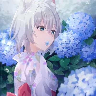 Hydrangea