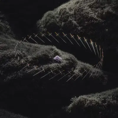 Defence Mechanism