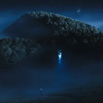 heart of the forest