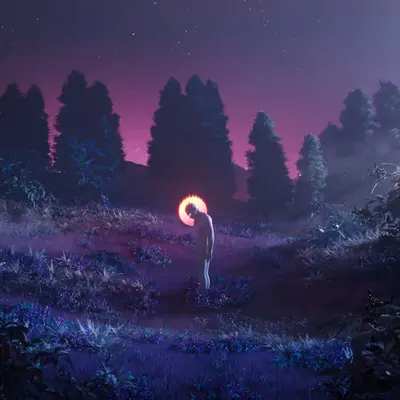 A Violet Night