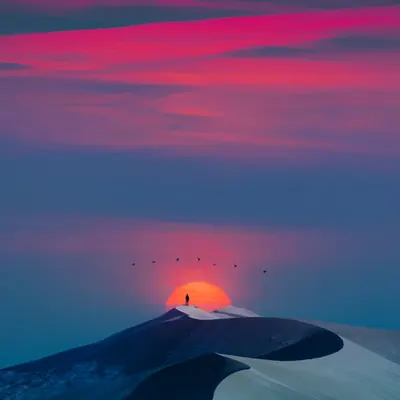 winter sun.