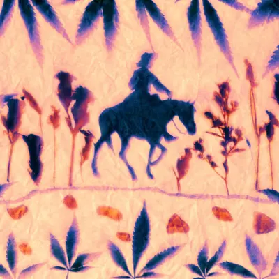 Auras No. 2