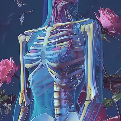 Anatomy of Art 57