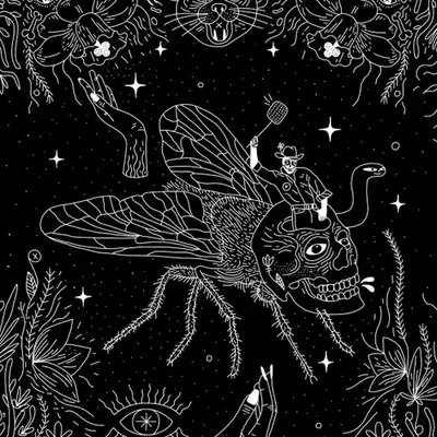 Flies and Cowboys
