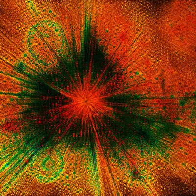 Mentograph #125