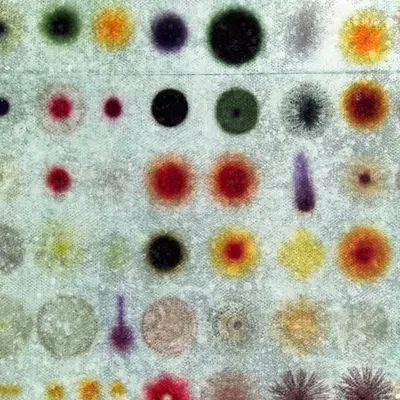 The Cell