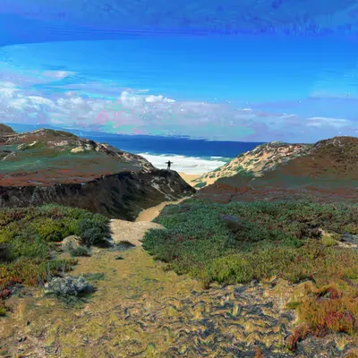 a visit to the beach, on psychedelics