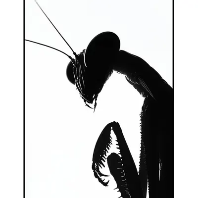 COVENANT POSTER III