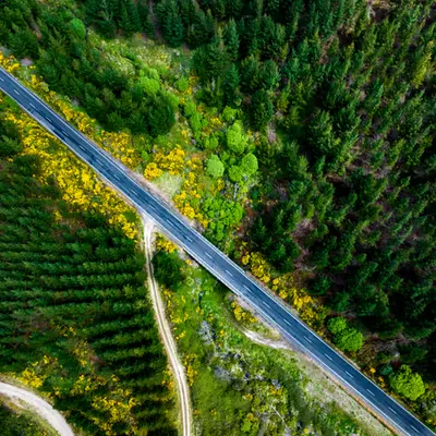 Roads and Rivers #31 #1/2