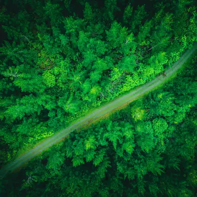 Roads and Rivers #39