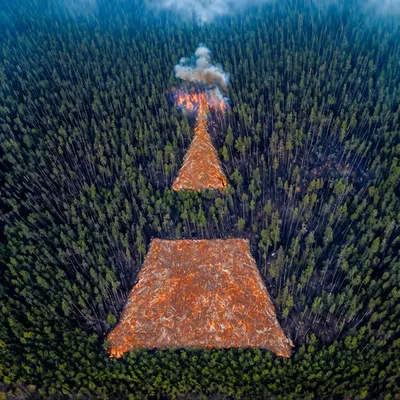 Geodetic Wildfire