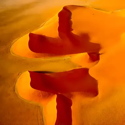Geodetic Dune
