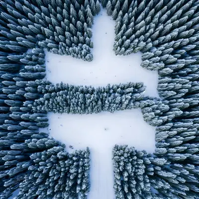 Geodetic Alpine
