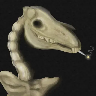 Skull of Zebra with Burning Cigarette