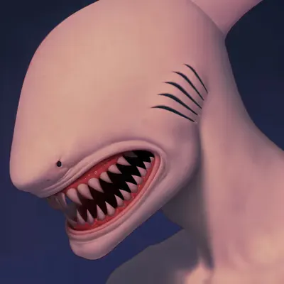 Carcharor