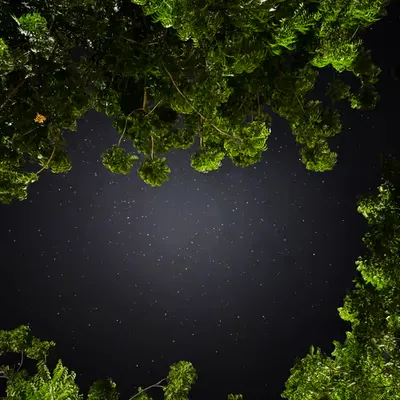 Between here and beyond