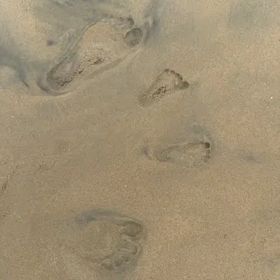 Only leave footprints 