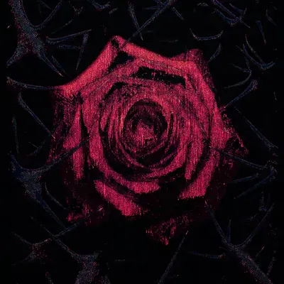 A Rose Among Thorns