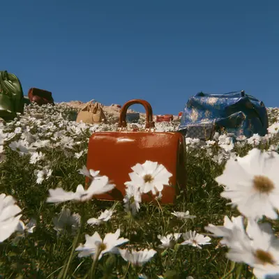 my bags