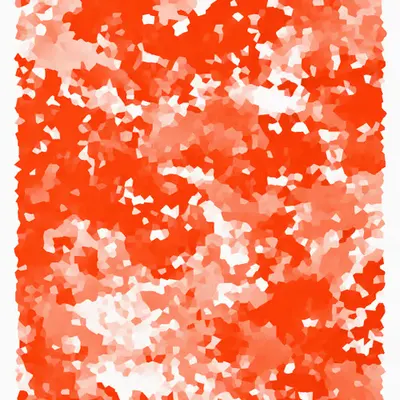 244