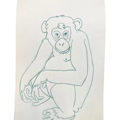 Monke