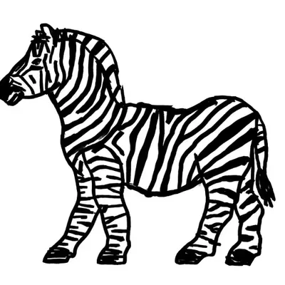 Day 1 Zebra