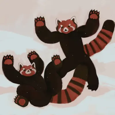 Red Pandas Playing