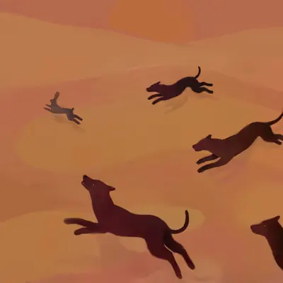 A Pack of Dogs