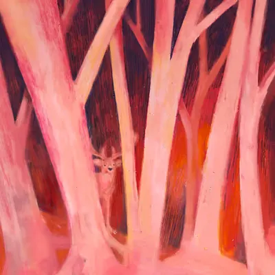 The Forest of Mystery