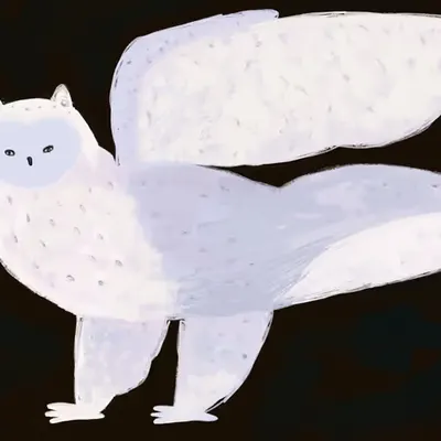 Owl