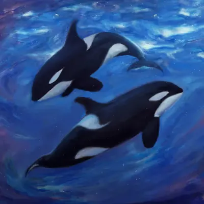 A Couple of Orcas