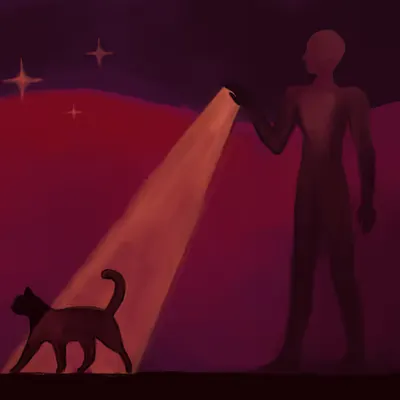 Shadow Illuminating Shadow