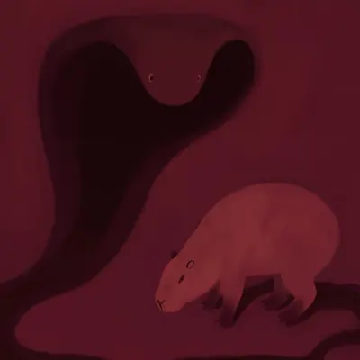 Capybara and Its Shadow