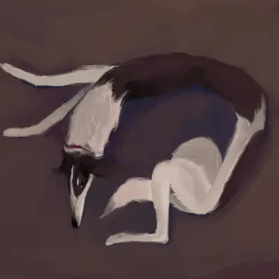 Puppy is Resting