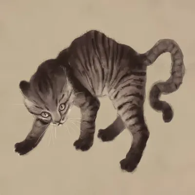 Scaredy Kitty