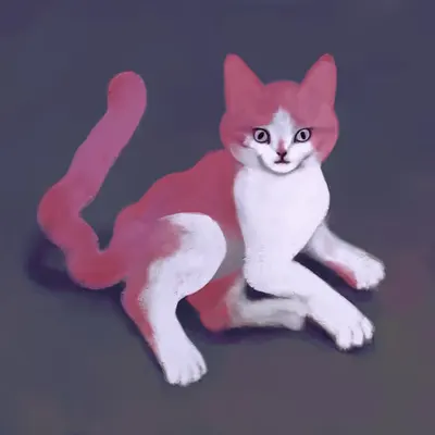 Pink Kitty